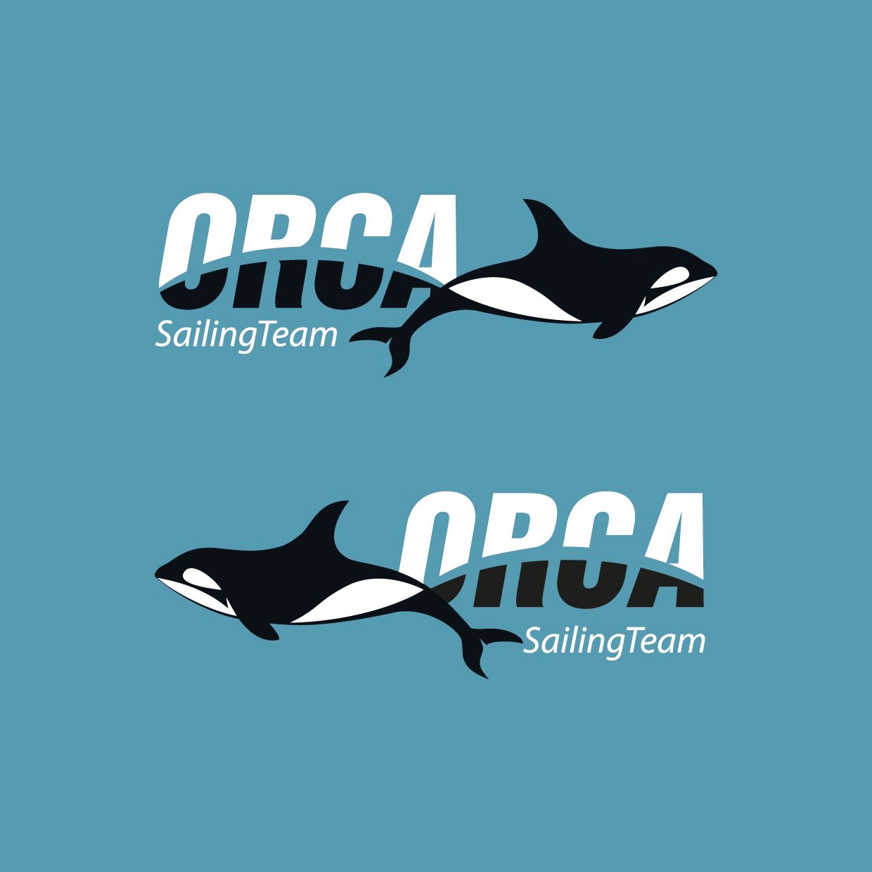 Логотип для яхты ORCA разработан в студии TrofotoDesign