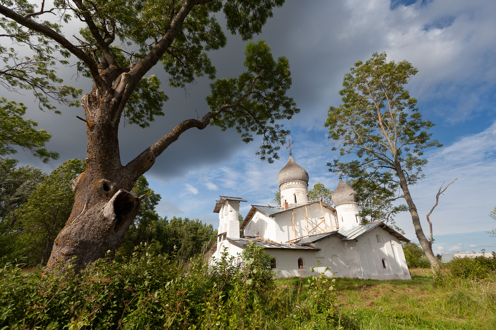 Псковская область, Доможирка. Церковь Троицы Живоначальной. 2009